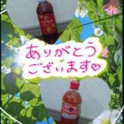 ヒメ日記 2026/07/01 03:02 投稿 熟女 かすみ ハナミズキ