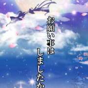 ヒメ日記 2026/07/07 22:20 投稿 熟女 かすみ ハナミズキ
