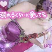 ヒメ日記 2026/08/17 23:12 投稿 熟女 かすみ ハナミズキ