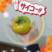 ヒメ日記 2026/10/02 03:06 投稿 熟女 かすみ ハナミズキ