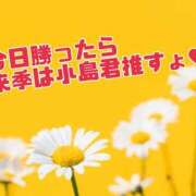 ヒメ日記 2023/10/16 19:44 投稿 熟女 のぞみ ハナミズキ