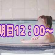 ヒメ日記 2025/03/16 16:42 投稿 熟女 のぞみ ハナミズキ