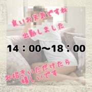 ヒメ日記 2025/05/05 14:58 投稿 熟女 のぞみ ハナミズキ