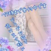 ヒメ日記 2025/06/10 14:06 投稿 熟女 のぞみ ハナミズキ