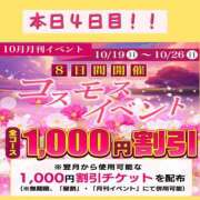 ヒメ日記 2025/10/23 13:06 投稿 熟女 のぞみ ハナミズキ