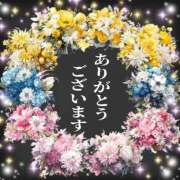 ヒメ日記 2025/10/24 08:54 投稿 熟女 のぞみ ハナミズキ