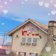 ヒメ日記 2025/11/05 13:04 投稿 熟女 のぞみ ハナミズキ