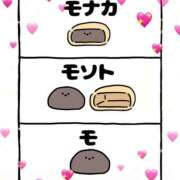 ヒメ日記 2025/11/12 14:00 投稿 熟女 のぞみ ハナミズキ