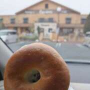 ヒメ日記 2026/02/08 11:56 投稿 熟女 のぞみ ハナミズキ