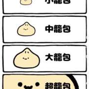 ヒメ日記 2026/03/12 09:48 投稿 熟女 のぞみ ハナミズキ