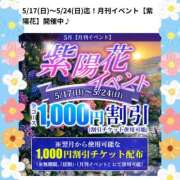 ヒメ日記 2026/05/18 12:14 投稿 熟女 のぞみ ハナミズキ