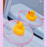 ヒメ日記 2026/07/08 11:58 投稿 熟女 のぞみ ハナミズキ