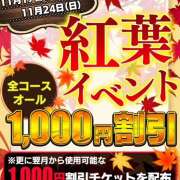 ヒメ日記 2024/11/18 12:42 投稿 熟女 　なな ハナミズキ