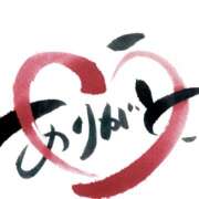 ヒメ日記 2025/06/02 13:46 投稿 熟女 　なな ハナミズキ