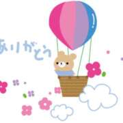 ヒメ日記 2026/03/06 15:32 投稿 熟女 　なな ハナミズキ