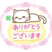 ヒメ日記 2025/02/07 16:06 投稿 熟女 るい ハナミズキ