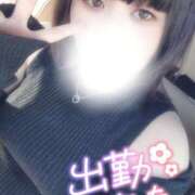 ヒメ日記 2024/12/08 10:11 投稿 すず 夢の国デリランド