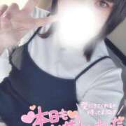 ヒメ日記 2025/02/01 10:06 投稿 すず 夢の国デリランド