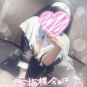 ヒメ日記 2025/02/11 14:28 投稿 すず 夢の国デリランド