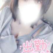 ヒメ日記 2025/02/17 10:19 投稿 すず 夢の国デリランド