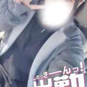 ヒメ日記 2025/02/18 10:17 投稿 すず 夢の国デリランド