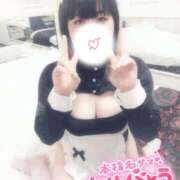 ヒメ日記 2025/04/13 17:30 投稿 すず 夢の国デリランド