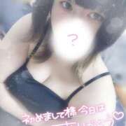 ヒメ日記 2025/04/14 11:30 投稿 すず 夢の国デリランド