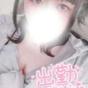 ヒメ日記 2025/06/03 09:56 投稿 すず 夢の国デリランド