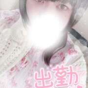 ヒメ日記 2025/06/25 10:09 投稿 すず 夢の国デリランド