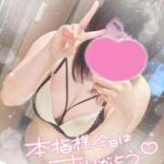 ヒメ日記 2025/07/15 14:32 投稿 すず 夢の国デリランド