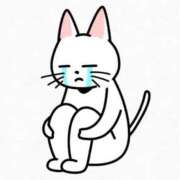 ヒメ日記 2025/07/22 15:06 投稿 すず 夢の国デリランド