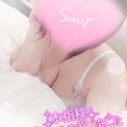 ヒメ日記 2025/08/15 20:23 投稿 すず 夢の国デリランド