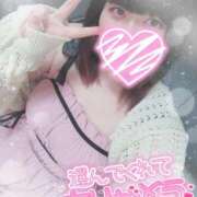 ヒメ日記 2025/08/20 14:53 投稿 すず 夢の国デリランド