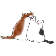 ヒメ日記 2025/08/24 16:36 投稿 すず 夢の国デリランド