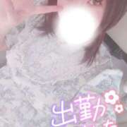 ヒメ日記 2025/08/30 13:09 投稿 すず 夢の国デリランド