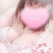 ヒメ日記 2025/10/05 01:28 投稿 すず 夢の国デリランド