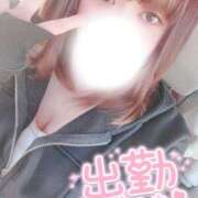 すず おはようございます🦨 夢の国デリランド