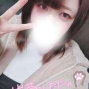 ヒメ日記 2026/01/11 09:58 投稿 すず 夢の国デリランド