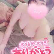 ヒメ日記 2026/05/01 15:59 投稿 すず 夢の国デリランド