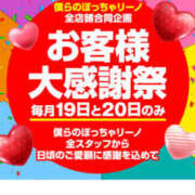 ヒメ日記 2024/11/20 12:00 投稿 こはく 僕らのぽっちゃリーノin越谷