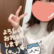 ヒメ日記 2025/04/05 10:45 投稿 めえ スピードエコ梅田店