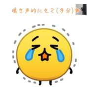 ヒメ日記 2025/07/24 05:55 投稿 めえ スピードエコ梅田店