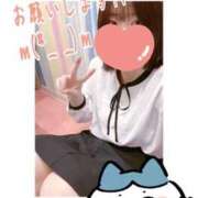 ヒメ日記 2025/11/14 18:06 投稿 めえ スピードエコ梅田店