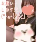 ヒメ日記 2025/11/23 14:16 投稿 めえ スピードエコ梅田店