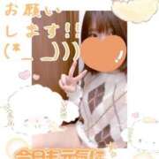 ヒメ日記 2026/01/17 14:01 投稿 めえ スピードエコ梅田店