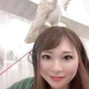 ヒメ日記 2025/03/01 21:13 投稿 みその 西船人妻花壇