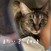 ヒメ日記 2025/03/03 08:48 投稿 みその 西船人妻花壇