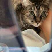 ヒメ日記 2025/03/06 06:20 投稿 みその 西船人妻花壇