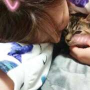 ヒメ日記 2025/03/06 14:13 投稿 みその 西船人妻花壇