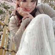 ヒメ日記 2025/03/26 16:25 投稿 みその 西船人妻花壇